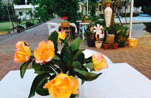 Yavansu Mahallesi House | Mursel Garden Hotel