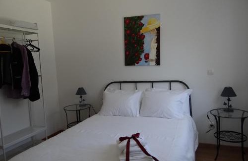 Sequeiros House | Museu Casa Aleixo