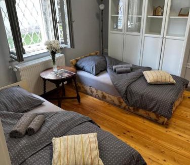 Rackeve Apartment | Museum Apartment in the City Center