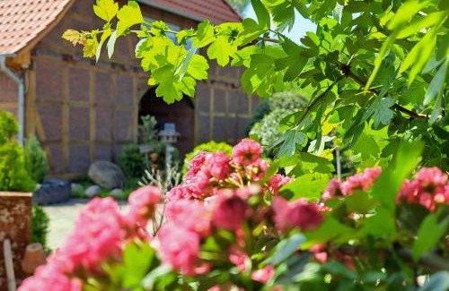 Ummern Apartment | Mutti 's Landhof