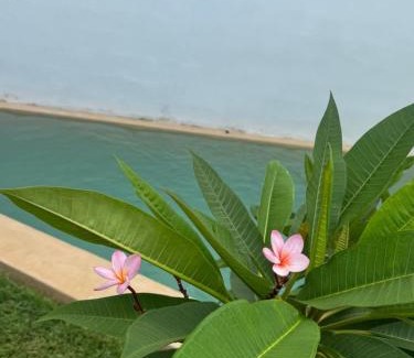 Chichen Itza - Valladolid Apartment | Muunyal Naj