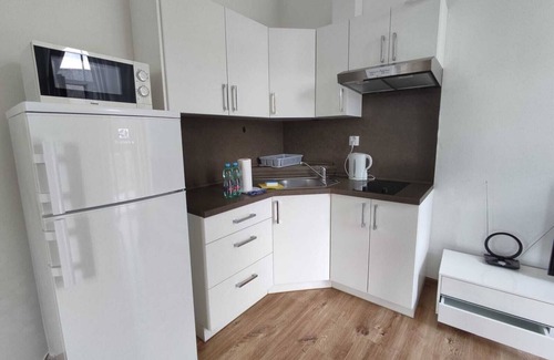 Teplice Apartment | MVA House Teplice