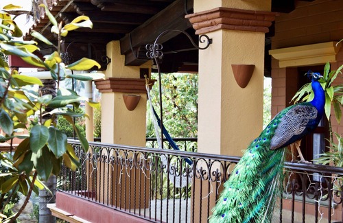 San Felipe del Agua Villa | Terra-Cotta in Oaxaca’s top neighborhood