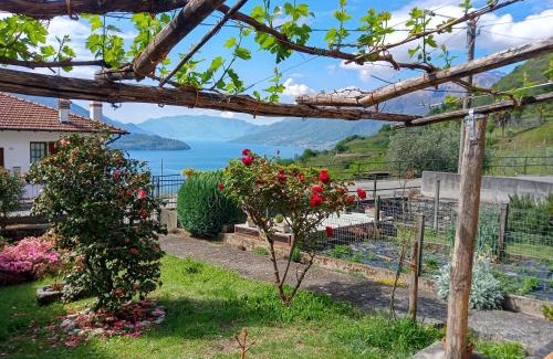 Vercana Apartment | My Holidays
