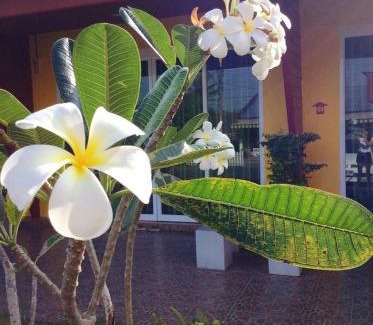 Makham Tia Resort | My Home Resort