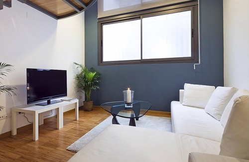 El Putget i Farro Apartment | My Space Barcelona 5 Apart. near Vall d'Hebron up to 30 people