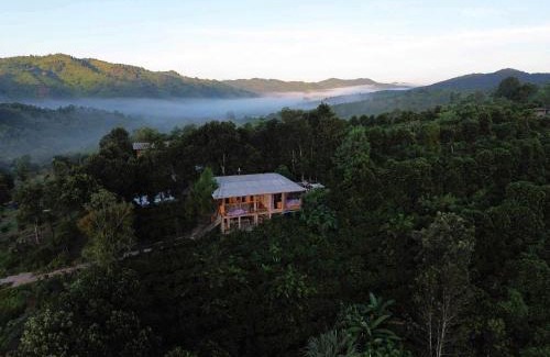 Lao Bao Cabin | Năm mùa Bungalows
