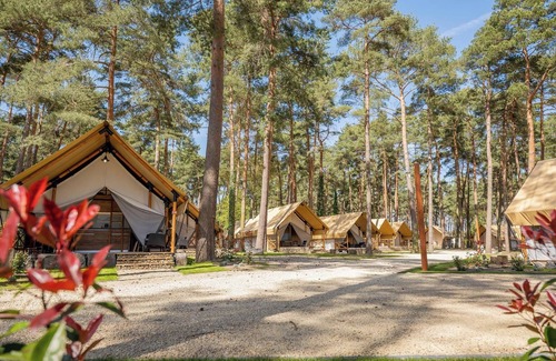Zutendaal Cabin | n/a