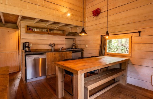 Ruinen Cabin | n/a