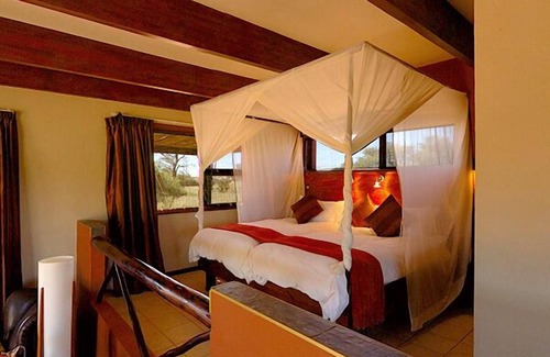 Intu Afrika Kalahari Private Reserve Cabin | Zebra Kalahari Lodge