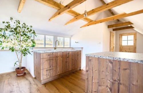 Ratibor Apartment | Na Ovčíně