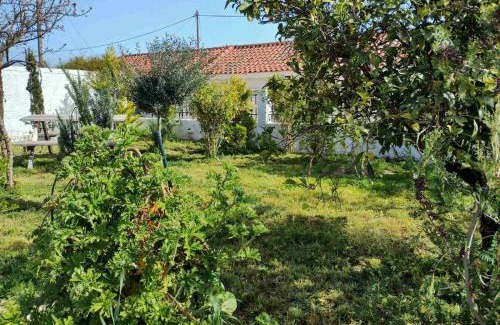 Asini House | Nafplio Cottage-Grandma's Yard