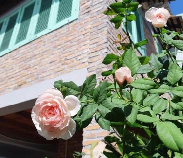 Đong Hoa Hiep House | Nam Thi Holiday Home
