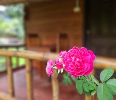 Thakhek Hotel | Nana Bungalows