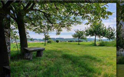 Bechhofen Other | Natur, Wasser und Land(er)leben