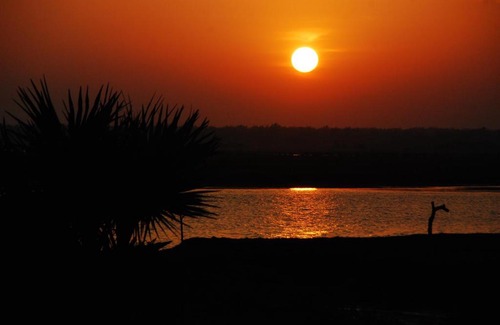 Konark Other | Nature Camp Konark Retreat