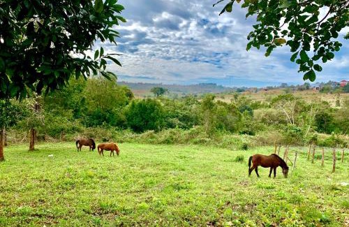 Sen Monorom Resort | Nature Lodge