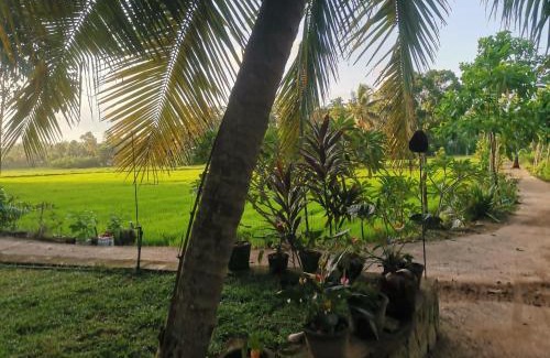 Wanchawala Villa | Nature Villa