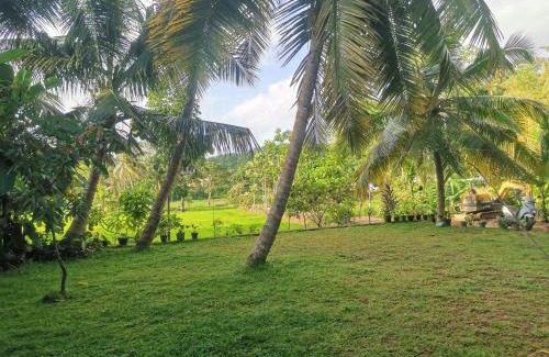 Wanchawala Villa | Nature Villa