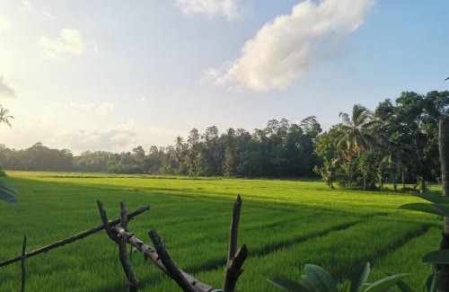 Wanchawala Villa | Nature Villa
