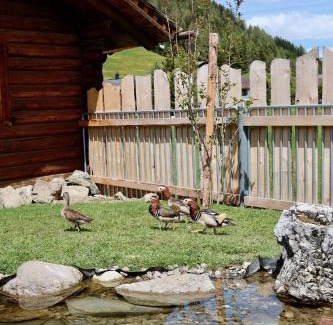 Davos Other | Naturedome Hof Camenisch
