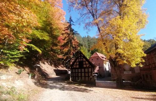 Bollberg Apartment | Naturhof-Papiermühle 3 Bett-Zimmer Immergrün