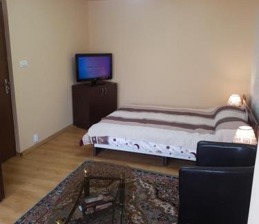 Petrosani Apartment | Near center