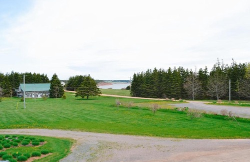 Little Pond Hotel | Ned's Landing at Spry Point