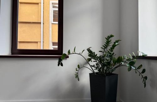 Old Town Apartment | Nemunas Apartaments