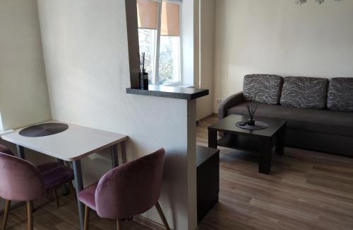 Panevezys Apartment | Nemunas