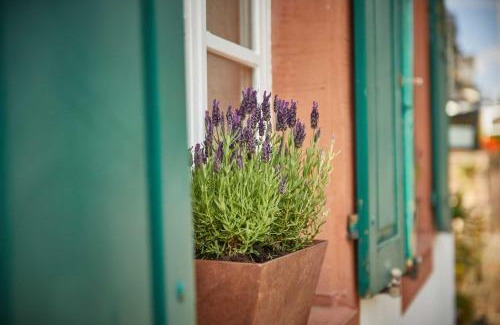 Wehlen Apartment | NEU! Moselbleibe Uferallee