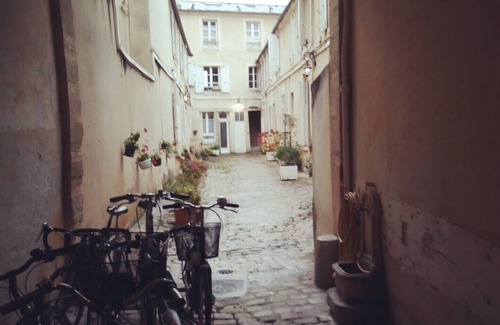 Saint-Louis Apartment | NEW - Apartment, charm, at the foot of the Palace of Versailles