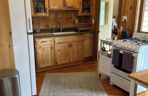 Conifer Cabin | New! Aspen time is right around the corner! 1 hr from DIA! Gas firepit & Wifi