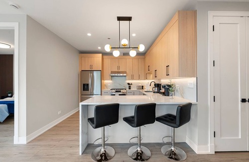 Tri-Taylor Apartment | New Build in Pilsen! Spacious 2 Bed 2 Bath Unit