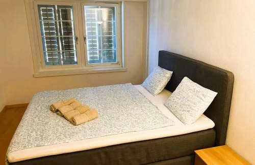 Old Town Apartment | New Cozy 2 room Apartment in Zurich Old Town Center RENN - Self Checkin