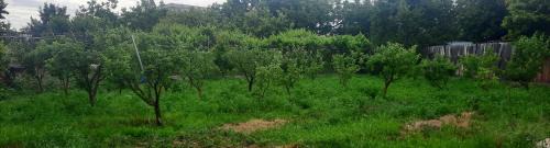 Garni House | new garni 1