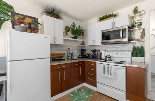 Edgewood Apartment | New Jungle Vibes Theme, Your own unit B
