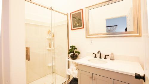Mount Vernon Apartment | *New* La Catrina 1 Bed & Bath Mount Vernon