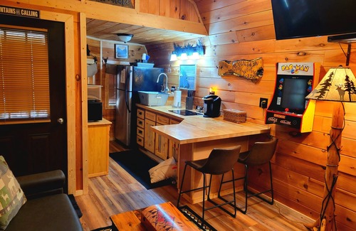 Flag Pond Apartment | New Smoky Mountain Tiny Cabin on Bold Stream with Hot Tub.