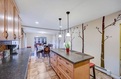 Mount Pocono House | Newly renovated, game room, skiing, sauna, water parks, golf.
