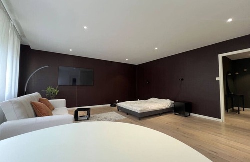 Pierres du Niton Apartment | Newly Renovated Suite Eaux Vives