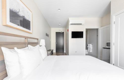 Newtonville Apartment | Newton studio w wd nr dining shopping BOS-976