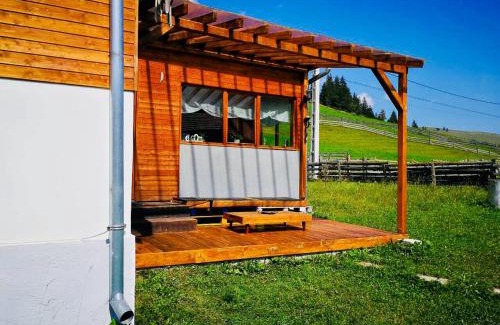 Fagetel House | Nexus Kulcsoshaz Bukkloka Gyimes