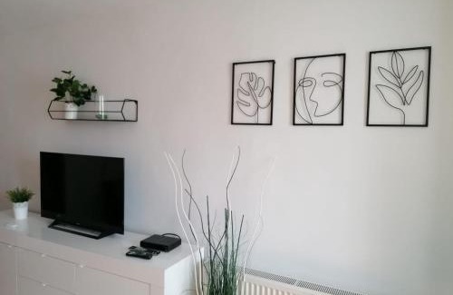 Miercurea-Ciuc Apartment | Nexus Studio Deluxe
