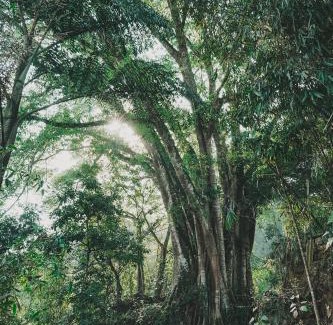 Dong Van House | Nhà Không Tên