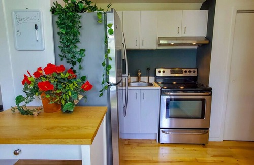 Vieux-Limoilou Apartment | Nice apartment in Limoilou