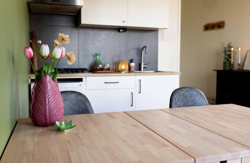 Zuidwolde House | Nice cozy cozy cottage on edge of dirt road and view over meadow.