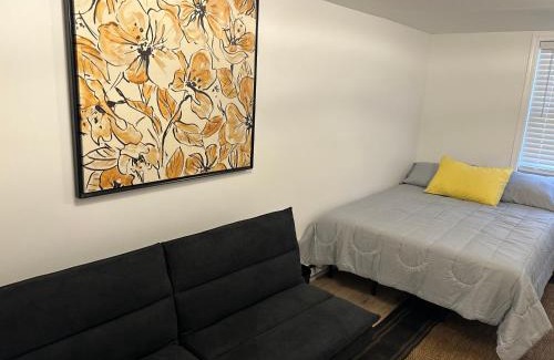 Carbondale House | Nice full room