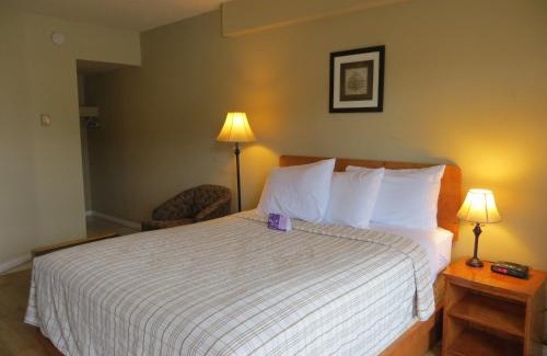 Southwest Edmonton Hotel | Nice Inn Edmonton
