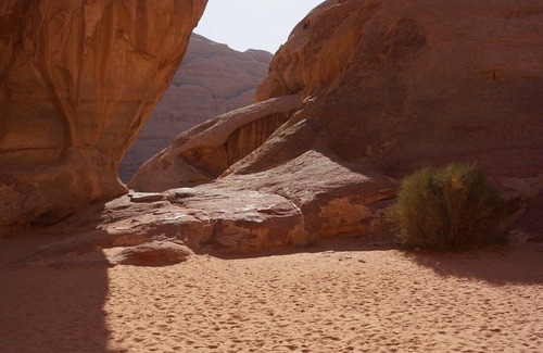 Wadi Rum RV Rental | Nights Dreams Camp & tours